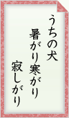 うちの犬 暑がり寒がり 寂しがり