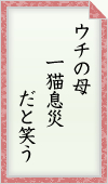 ウチの母 一猫息災 だと笑う