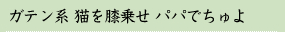 ガテン系 猫を膝乗せ パパでちゅよ